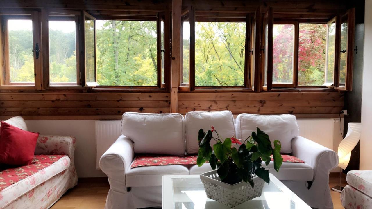 House Forest Apartment