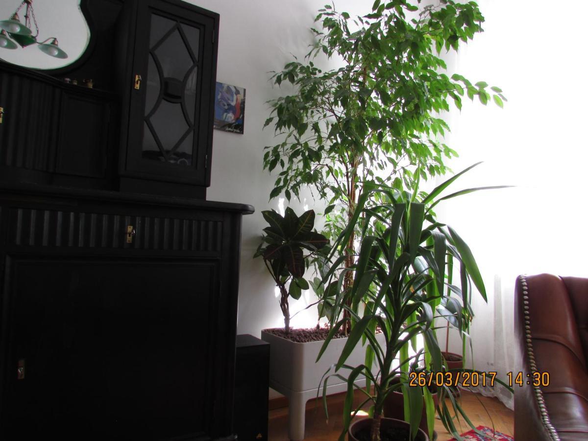 Art Nouveau Apartment Vienna