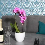 Rosenstein Apartments By Family & Home