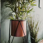 Zeus Design Apartments Lovely Home Vienna