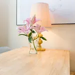 Beautiful Viennese Apartment