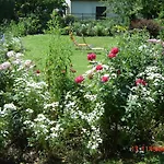 Ferienhaus Im Garten Mit Pool