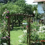 Ferienhaus Im Garten Mit Pool