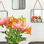 Peaceful Belvedere Apartment in Safe, Quiet&Central Location