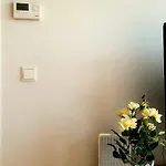 Near Lake Two Bedroom Fully Furnished Apartment