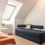 Lovely 2 Apartments - Suitable For Long Stays