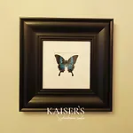 Kaiser\'S