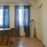 Beautiful, Spacious And Cheap