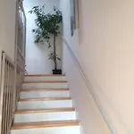 D&E Apartments