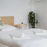 Cosy Central Studio