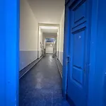 Cozy Homes Vienna