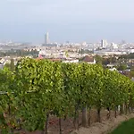Wohnen Im Schoensten Viertel Wiens