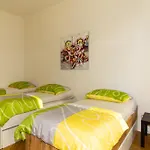 Raimond Apartment