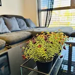 Brand New Apartment, Top Location-Near Vic/Danube
