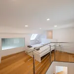 Luxury Penthouse Schoenbrunn