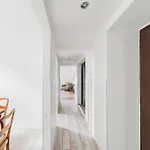 Big Apartment For 10 People