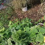 Bioparadies