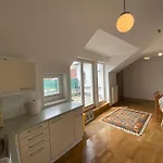 Luxury Penthouse Near Metro, Train Station And 15 Mins Center