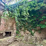 Hidden Garden - Spacious Modern - 1 Min To City Shuttle