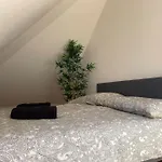 Modern & Spacious Apartment - Free Parking