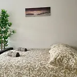 Stylish Modern Flat With Garden