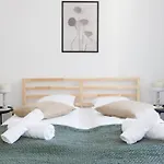 Grosszuegiges City-Apartment