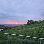 Vienna Wine Garden House