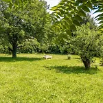 Comfy 3Br Apt With Garden, Up To 10 People