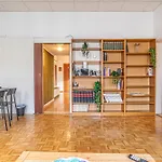 Vienna\'S Finest Spacious 2Br & 1Lr Apartment