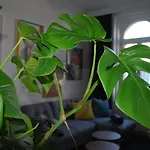 My Home In Vienna - Smart Apartments - Margareten