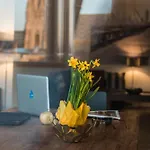 Penthouse Stephansplatz By Welcome2Vienna