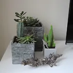 Ds Apartment