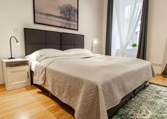 Apartment Ruedigergasse