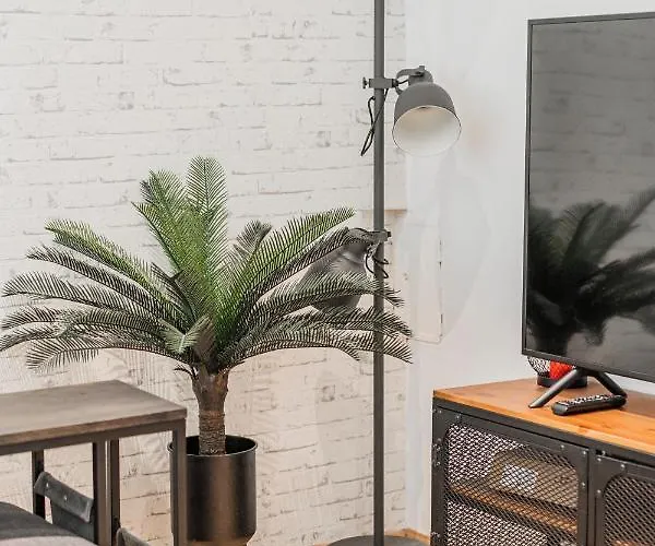 Zeus Design Apartments Herz