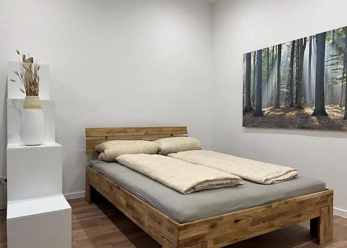 Premium Renovated Flat In Central Vienna