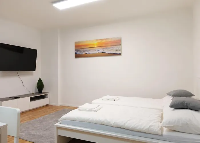 Comfortable Apartment In Central Vienna