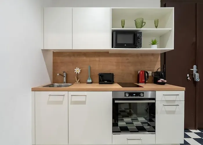 Practical 1Br Flat By Center By Hm