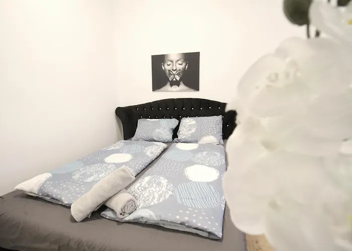 Comfort Apartment Hg