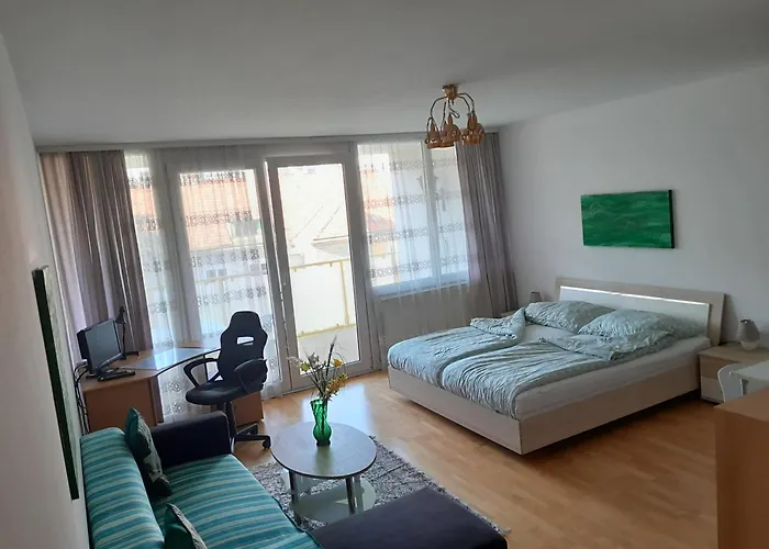 Serviced Apartment With Sunny Balcony