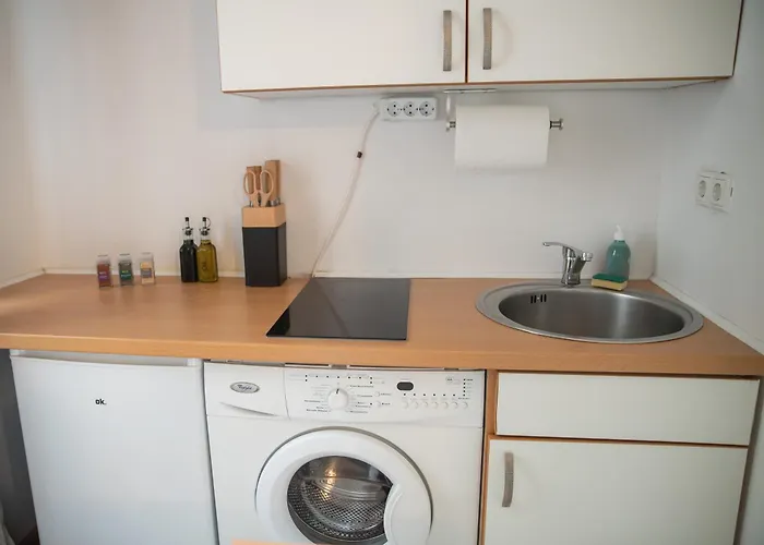Cozy City Apartments In Center K16