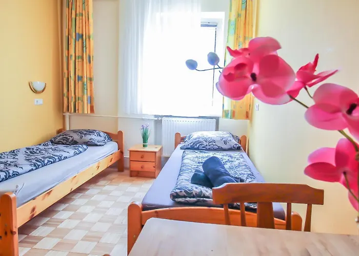 Double Room In Huetteldorfer Strasse Area