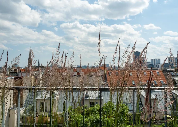 360° View Loft 2