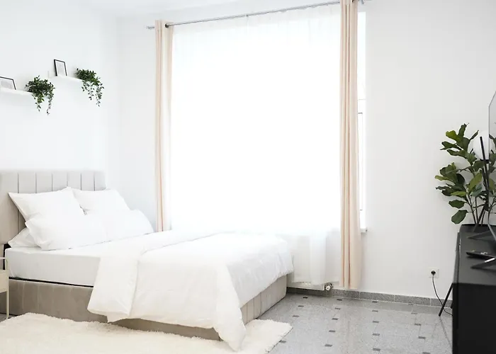 Design Wohnung Nahe Dem Zentrum