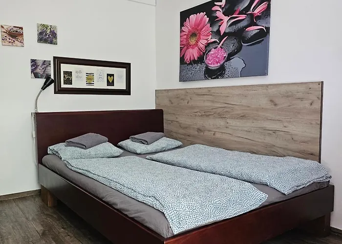 Near Vienna City - Cosy Apartment