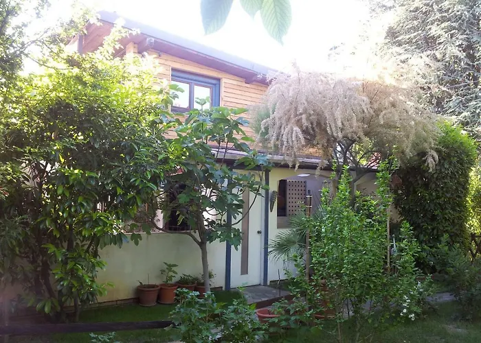 Michael\'S Nest