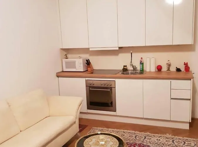 Vienna- Luxury Appartement