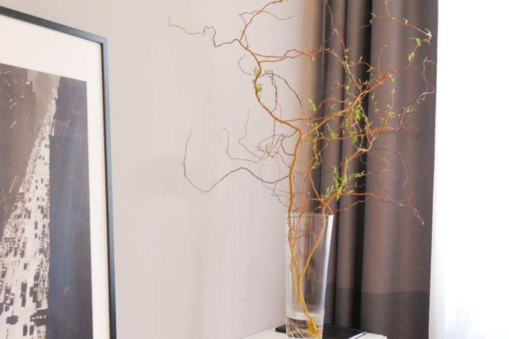 Apartamento Schonbrunn