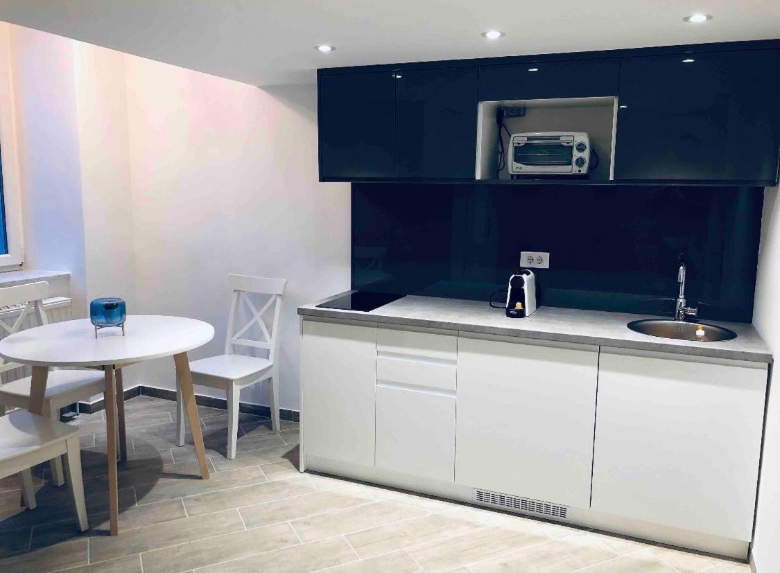 Zeus Design Loft Apartment Vienna