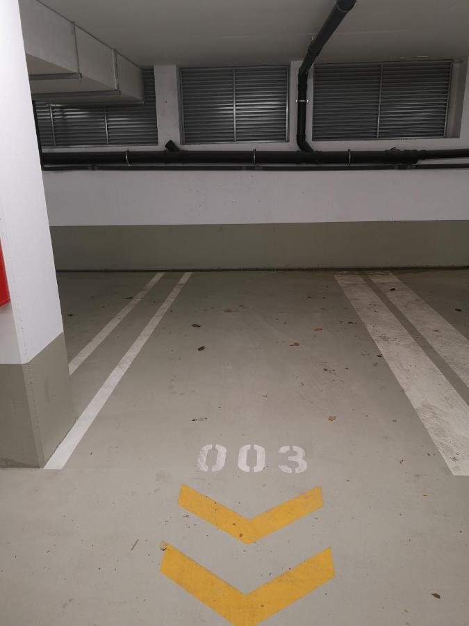 Appartamento Rooftop Terrace, Free Garage Parking And Pool! Vienna