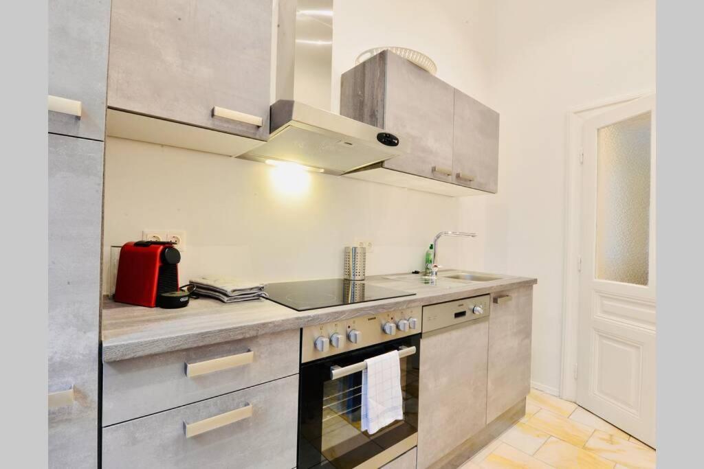 Beautiful Viennese Flat In The Centre *